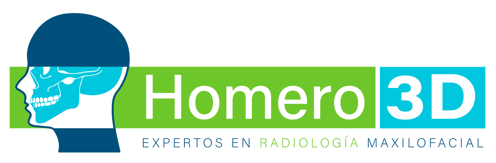 Homero 3D